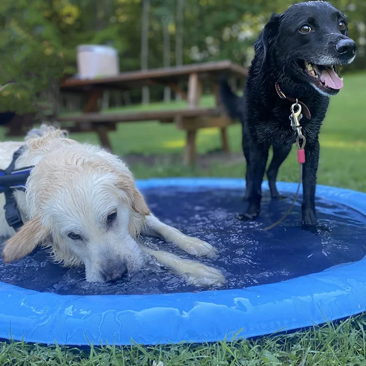 No More Messy Bath Times!