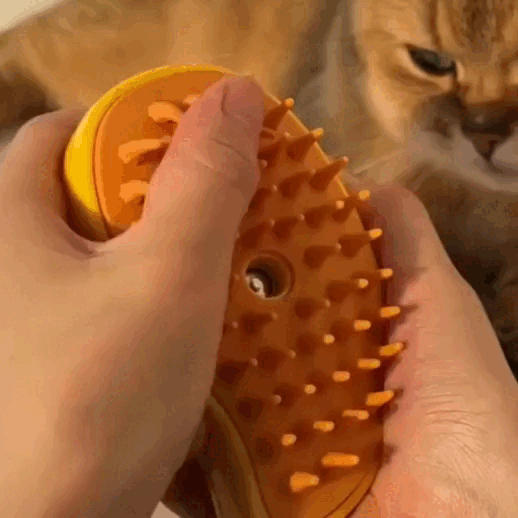 Problemas de higiene y cabello suelto con tu mascota